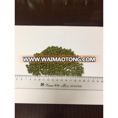 Dried Green mung bean from Viet Nam with good quality